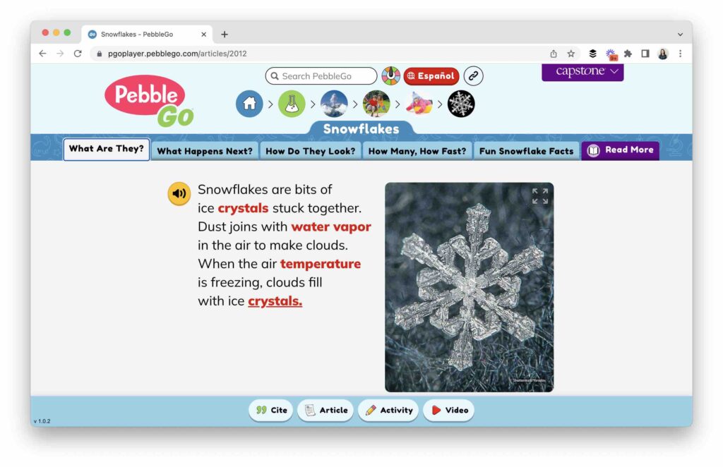 Snowflake Reading Winter Activities